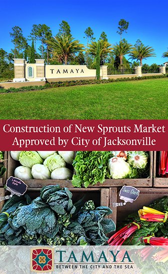 Construction of New Sprouts Market Approved by City of Jacksonville