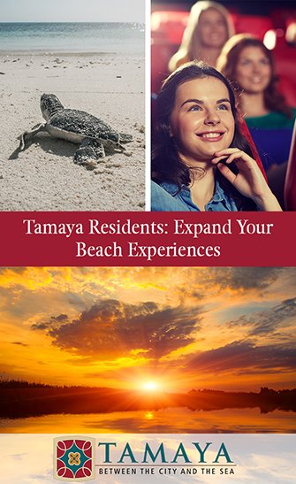 Tamaya Residents: Expand Your Jacksonville Beach Experiences