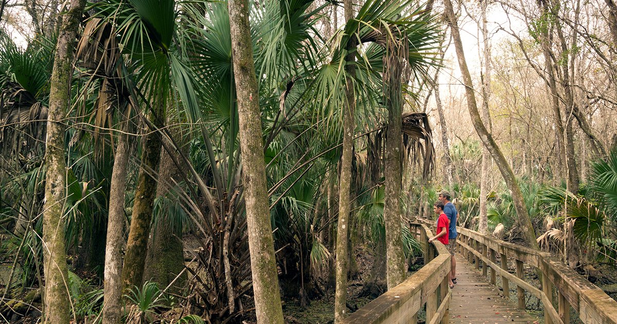 UNF Nature Trails: Another Way to Enjoy the Great Outdoors - trail